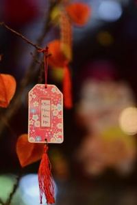 ví điện tử uy tín Nohu
